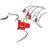pecattus logo